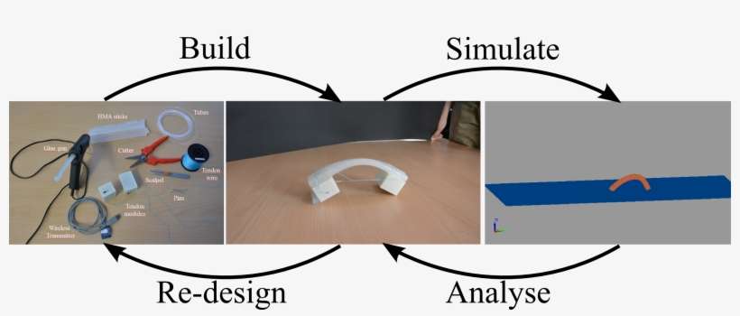 Toolkitintropic - Motor Tendon Soft Robots, transparent png download