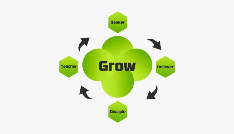 How Does Grow Work - Teacher, transparent png download