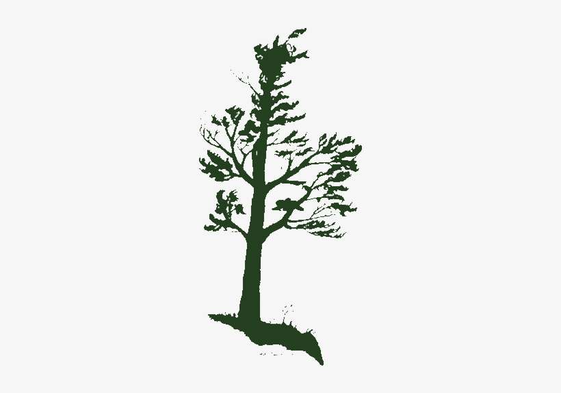 Why Thickson's Woods - Thickson Road South, transparent png download