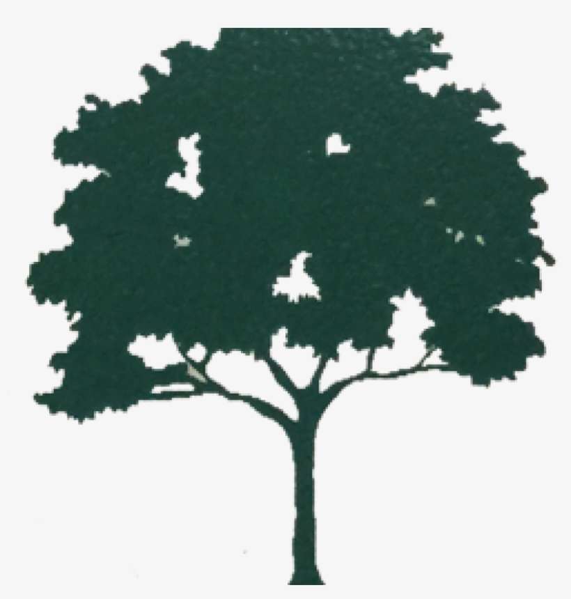 James M - Woods - African Tree Clip Art, transparent png download