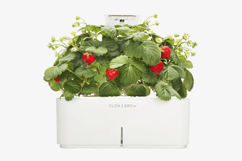 Click & Grow - Click And Grow Png, transparent png download