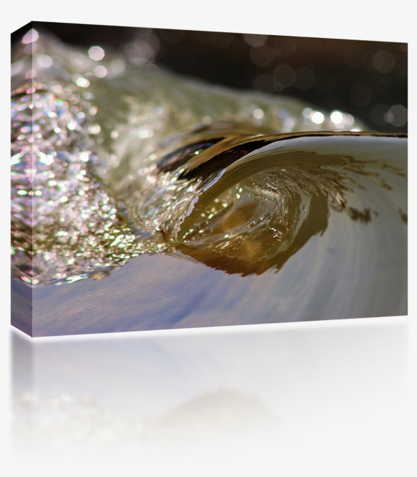 Green Planet - Macro Photography, transparent png download
