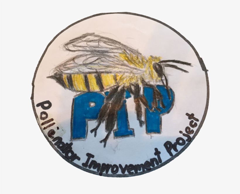 Honeybee, transparent png download