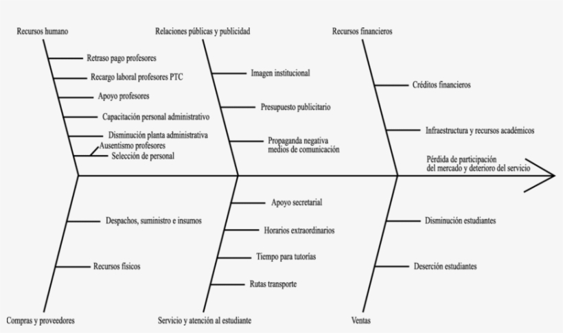 Identificación Del Problema Por Causa-efecto - Diagramas De Causa Y Efecto De Un Problema De La Biologia, transparent png download