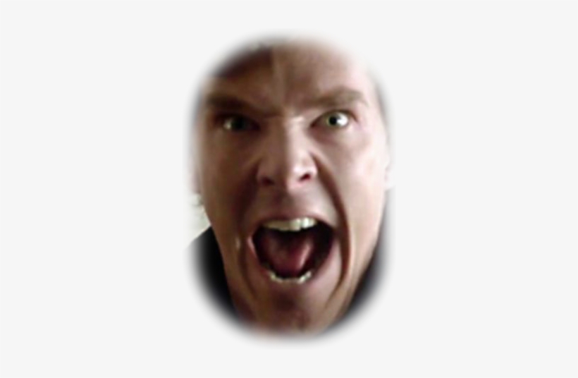 When John Woke Just A Few Hours Later, His Face Felt - Benedict Cumberbatch Nutria, transparent png download
