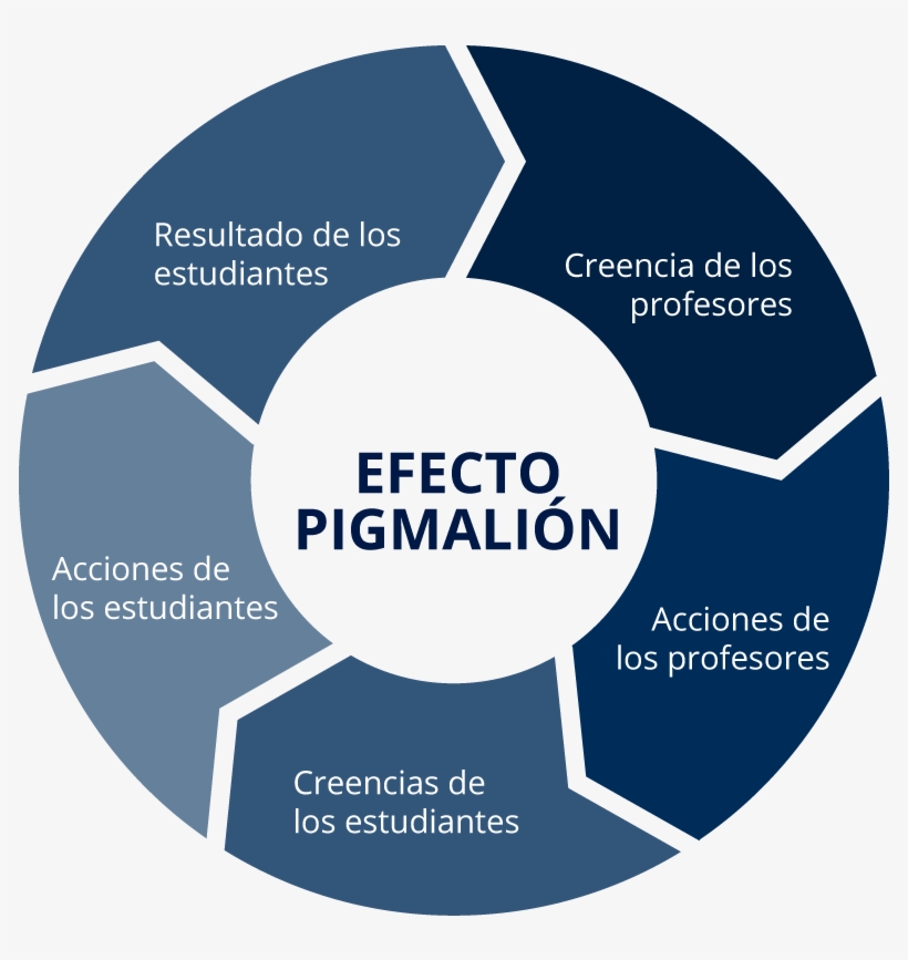 Efecto Pigmalión - Digital Asset Lifecycle Management, transparent png download