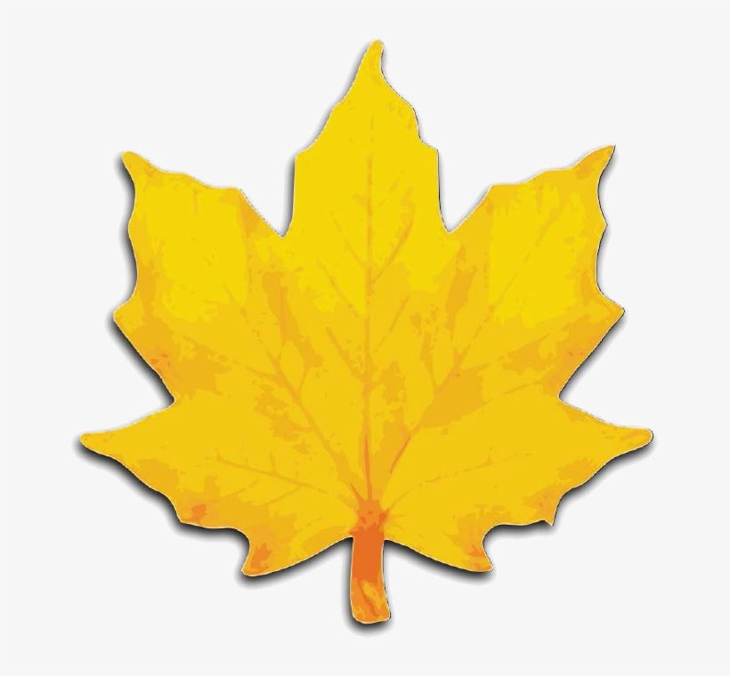 Sycamore Strategies Public Diplomacy, Government Relations - Clip Art Maple Leaves, transparent png download