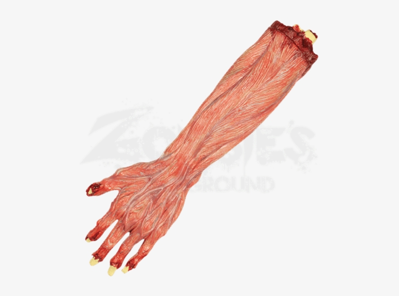 Skinned Arm - Zombie, transparent png download