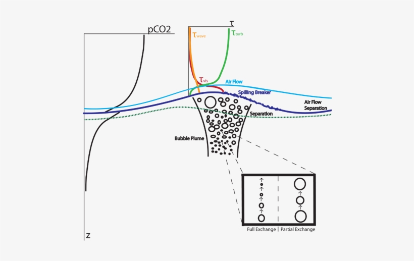 Within The Bubble Plume, Bubbles Will Either Completely - Diagram, transparent png download