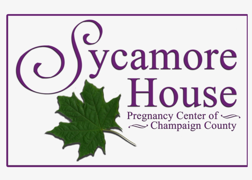 Sycamore House Pregnancy Center Of Champaign County, transparent png download