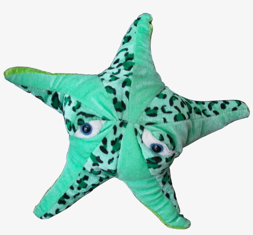 Estrella Mar De 13" Clave - Portable Network Graphics, transparent png download