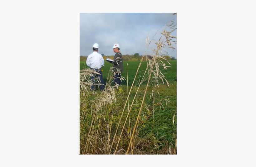 Sustainability Be Green With Buechel - Grass, transparent png download