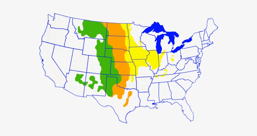 Fire Is An Important Part Of Restoring And Maintaining - Blue Throated Hummingbird Range, transparent png download