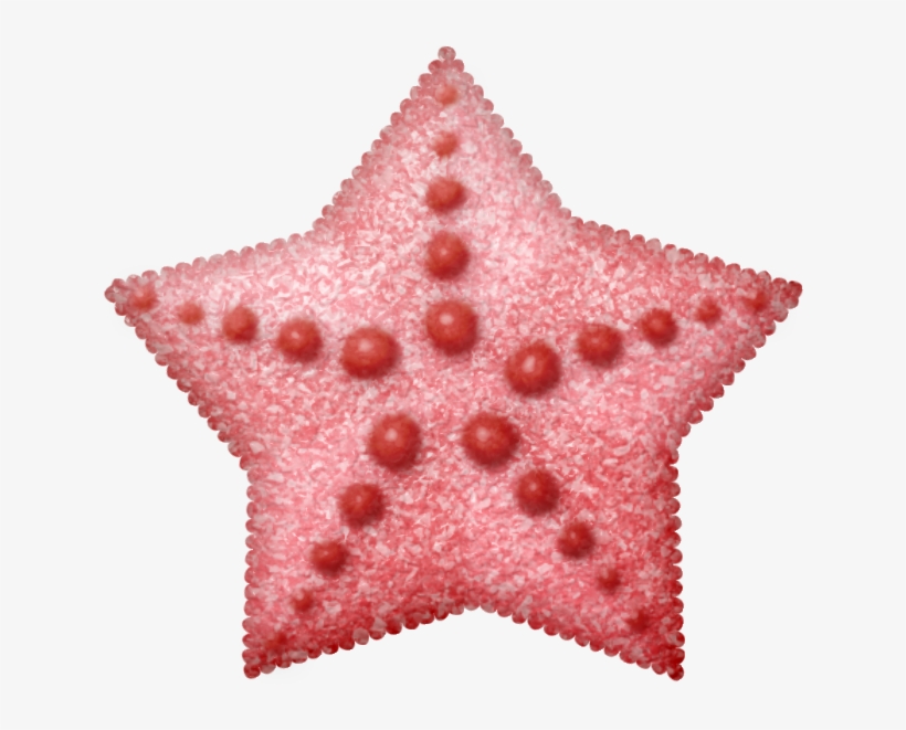 Estrellas De Mar Png - Email, transparent png download