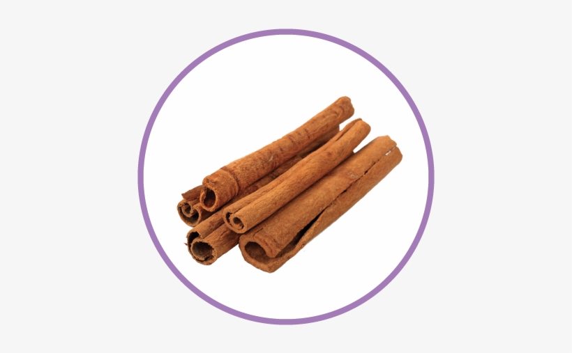 Cinnamon Extract - Cinnamon Png, transparent png download