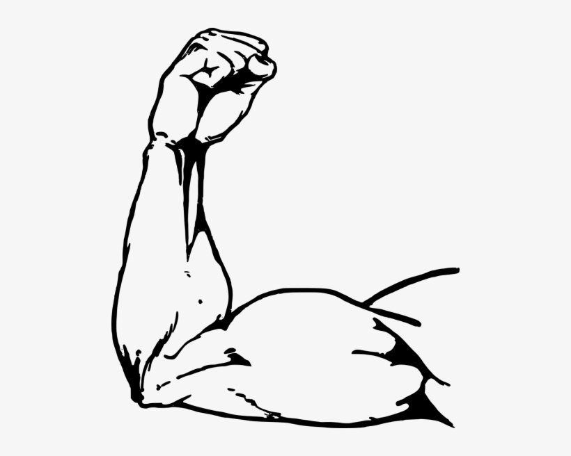 Muscle Arm Drawing Png, transparent png download
