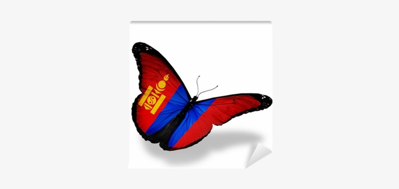 Fotomural Mongolia Pabellón De Mariposas Volando, Aislado - East Urban Home 'mongolia' Graphic Art Print, transparent png download