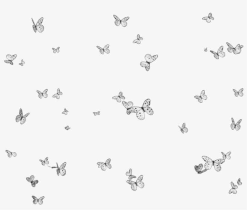 Butterflies Mariposas Mariposa Butterfly Group Grupo - Borboletinhas Em Png, transparent png download