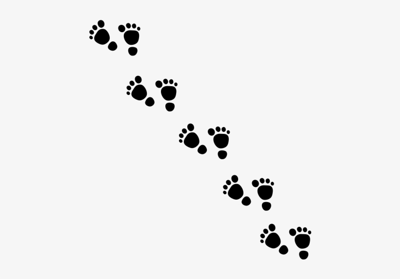 Huellas Niño - Downunder Thunder Pants Bib, transparent png download