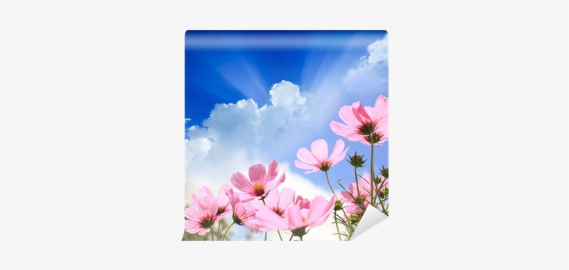 Gear New Tote Bag Shoulder Hand Field, transparent png download