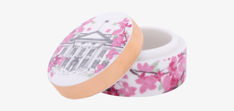 More Views - Paisley, transparent png download