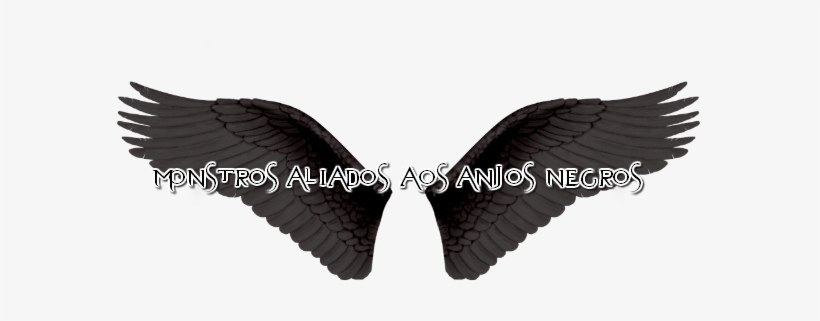 Aqui Eu Vou Mostrar A Todos Quais São Os Monstros Que - Alas Negras De Angel Png, transparent png download