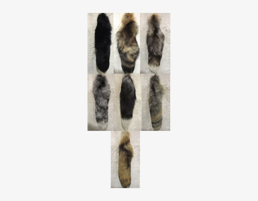 Fox Tail - Fur Clothing, transparent png download