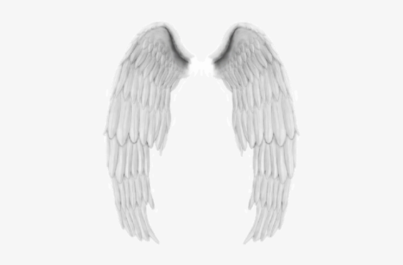 Collection Wing Angel Wing Butterfly Wing Devil And - Illustration, transparent png download