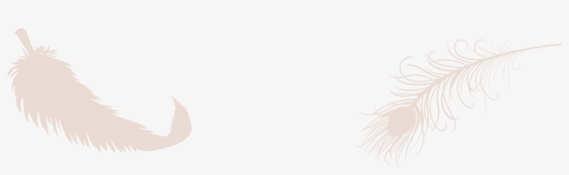 Contato - Pfau-feder Im Gold Und Pflaume Danken Ihnen Zu Karte, transparent png download