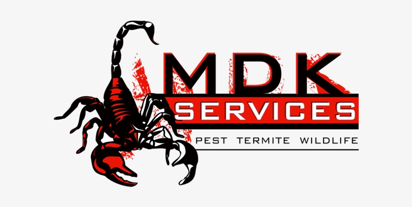 Local Exterminator Company San Angelo, Tx - Scorpion Company, transparent png download