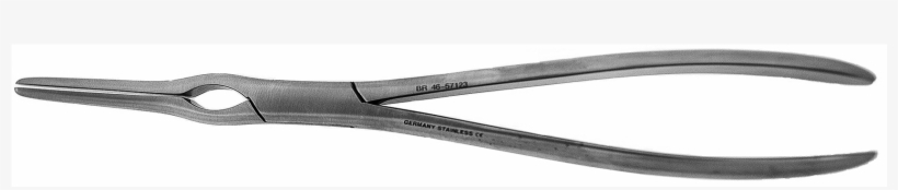 Asch Septum Forcep, Straight, 9" German Stainless Steel - Scissors, transparent png download