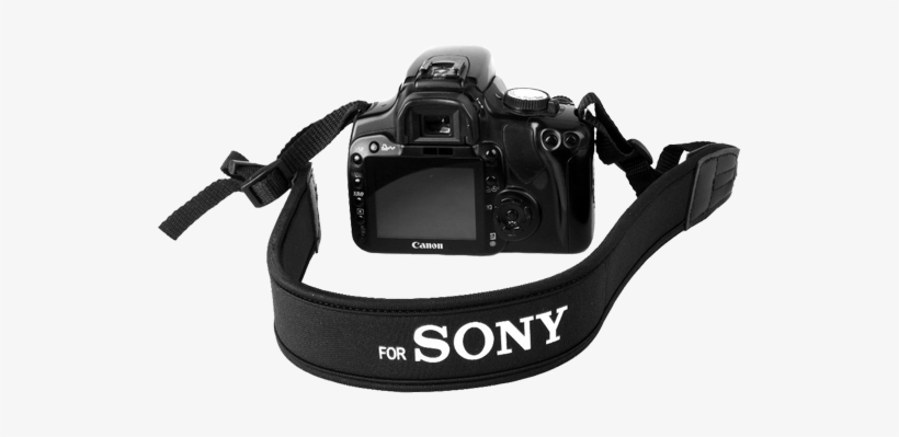 Sony Camera Straps - Digital Slr, transparent png download