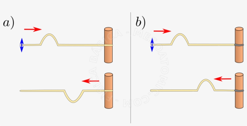 La Reflexión De Una Onda Mecánica Unidimensional - Fenomenos Ondulatorios Reflexão, transparent png download