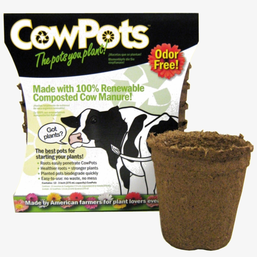 3rnd Pk Transparant - Cowpots Llc Plantable Pots, Round, 3-in., 12-pk., transparent png download