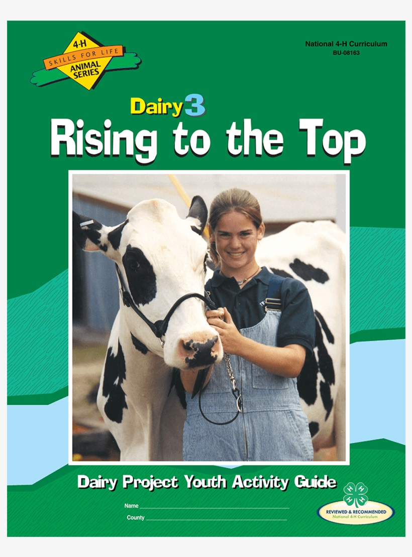 Dairy Cattle Curriculum - Dairy Cow, transparent png download