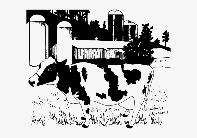 Cattle Clipart Dairy Cow - Did The World Begin, transparent png download