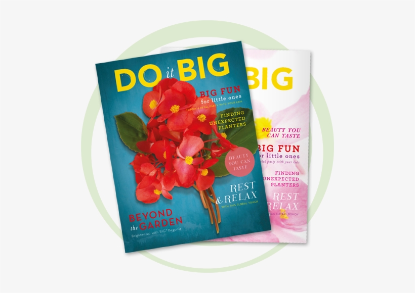 Download These Fun Retail Event Ideas - Cut Flowers, transparent png download