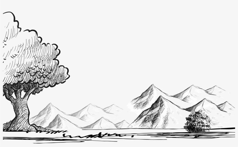 Hand Drawn Cartoon Sketch Tree Decoration Vector - Boceto De Arboles Png, transparent png download