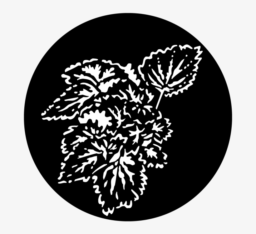 Foliage Begonia - Steelgobos Ms-1012 Apollo Foliage Begonia Steel Gobo, transparent png download