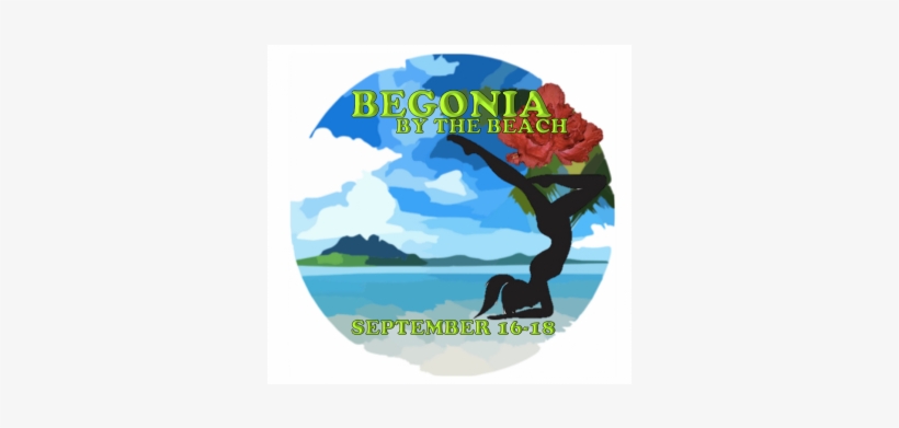 Sports - Spider And The Whale, transparent png download