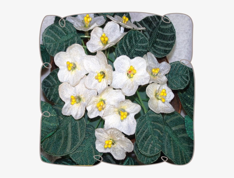 Fabric White African Violet - African Violets, transparent png download