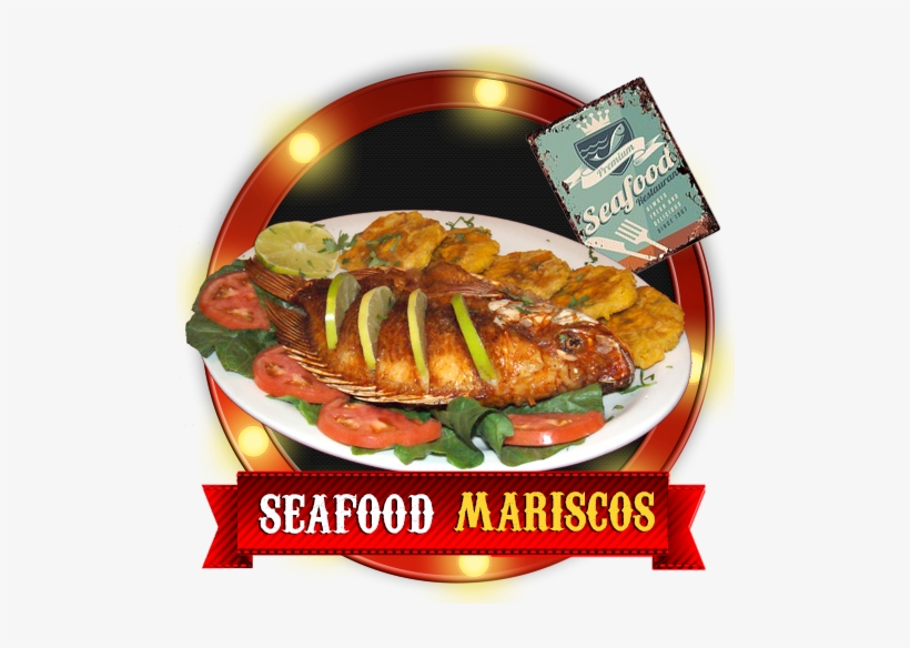 504 In Mariscos - Invisible Circus: No Dress Rehearsal (2010), transparent png download