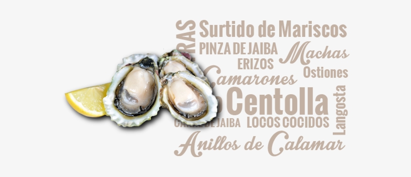 Indonesian State College Of Accountancy, transparent png download