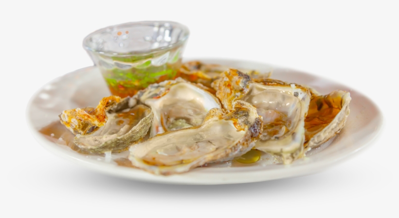 Muy Buenos Mariscos Y Excelente Vista Al Mar, Eramos - Oysters Rockefeller, transparent png download