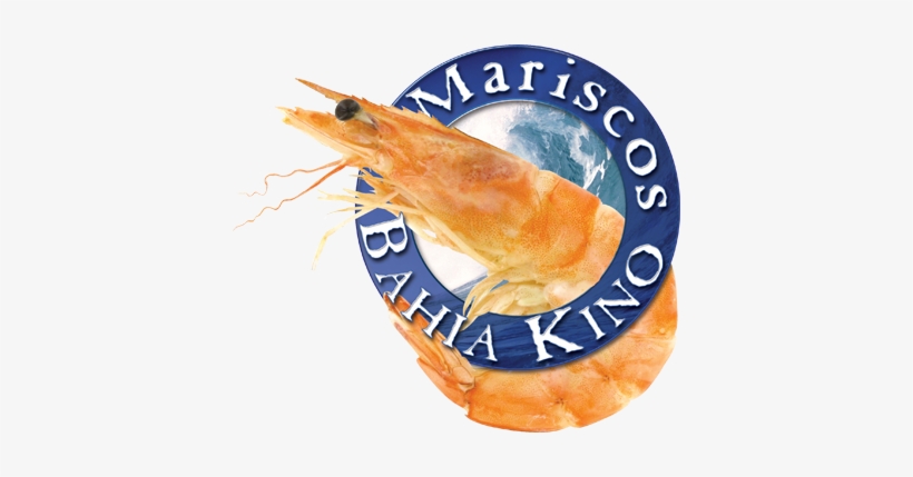 ¡solo Los Mejores Mariscos - Bahía Kino, transparent png download