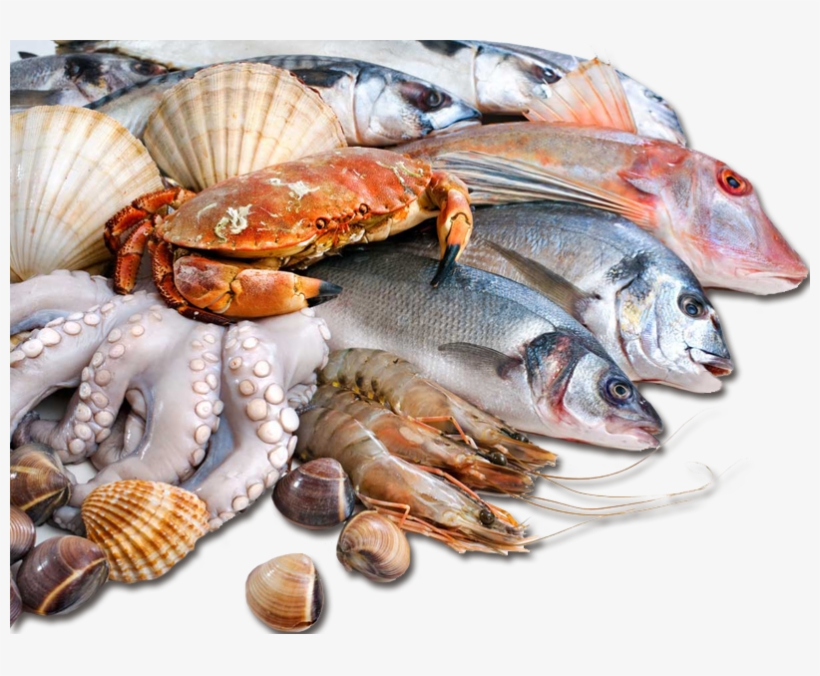 Gran Selección - Sea Food In Pakistan, transparent png download