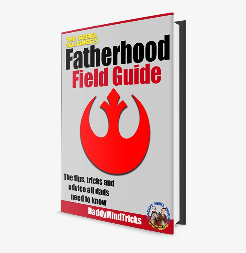 Fatherhood Field Guide Ebook Cover Rendered Smaller - Book Cover, transparent png download