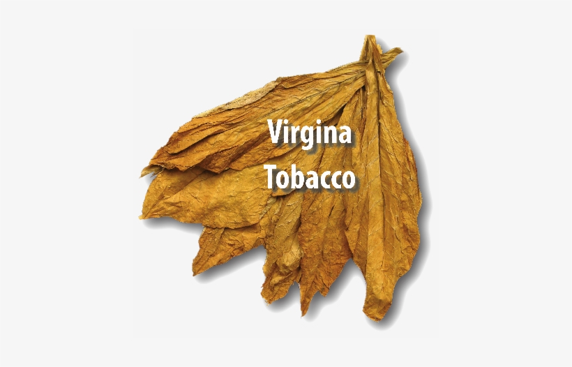 Burley Virginia Turkish - Dry Tobacco Leaves Transparent, transparent png download
