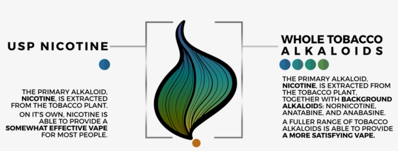 The Difference Between Wta And Usp - Nicotine, transparent png download