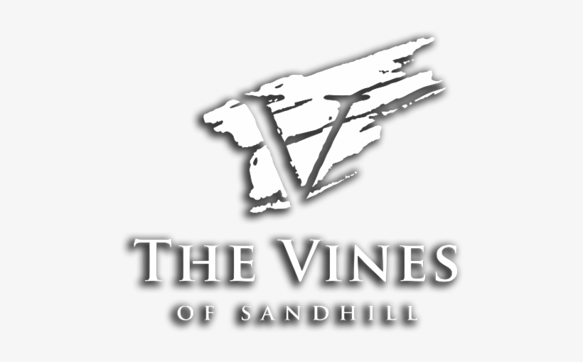The Vines Of Sandhill - Graphic Design, transparent png download